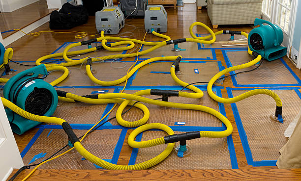Professional Burst Pipe Water Damage technician working in Carmel, IN